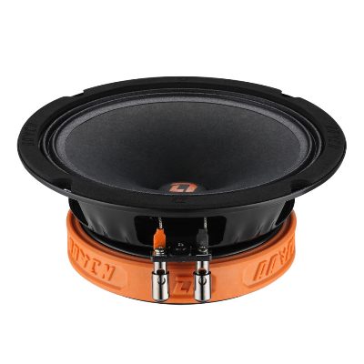 DL Audio Raven 200. ����������� �������������� Raven 200.